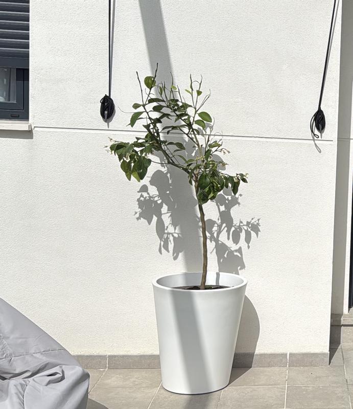 Abrir modal de revisión 1 de 2