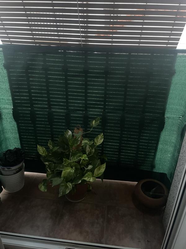 Revisione aperta modale 1 su 1