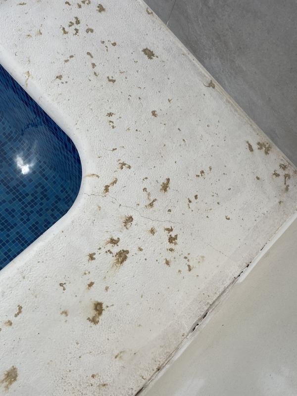 Abrir modal de revisión 1 de 2