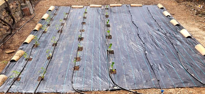 Abrir modal de revisión 1 de 1