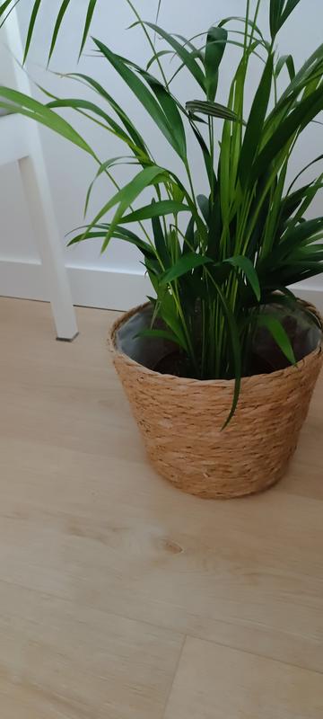 Abra o modal de avaliação 1 de 1