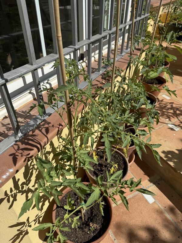 Abra o modal de avaliação 1 de 1