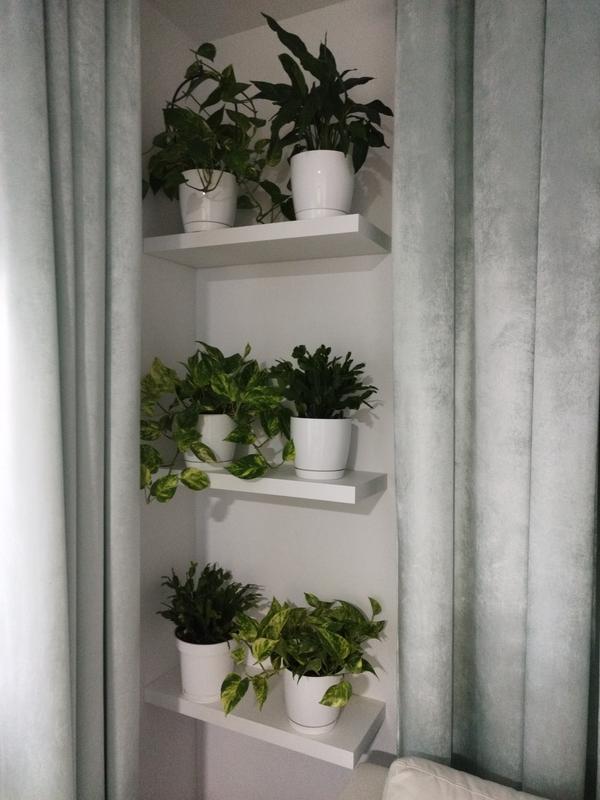 Revisione aperta modale 1 su 1