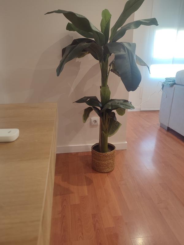 Ouvrir la fenêtre modale de l'avis 1 sur 2