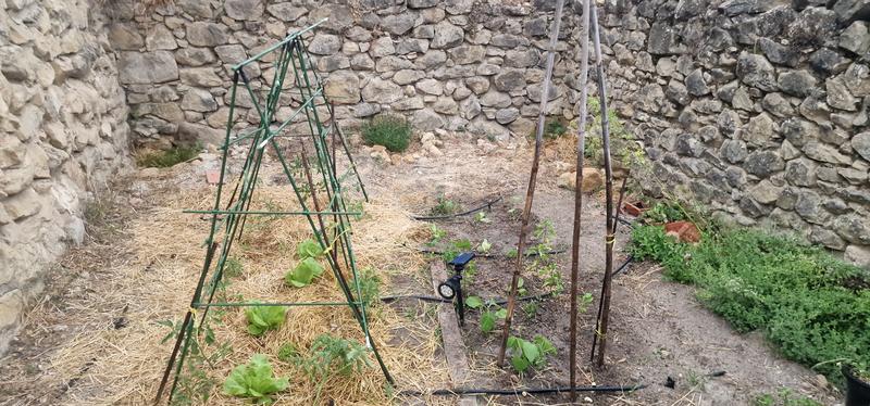 Abrir modal de revisión 1 de 1