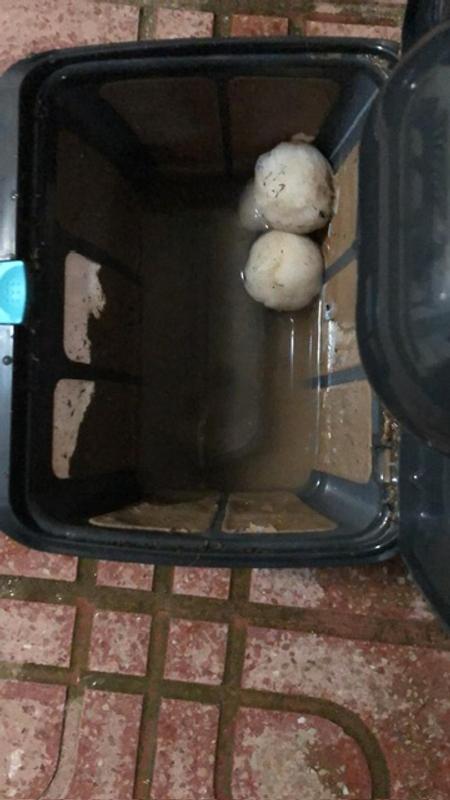 Abrir modal de revisión 4 de 4