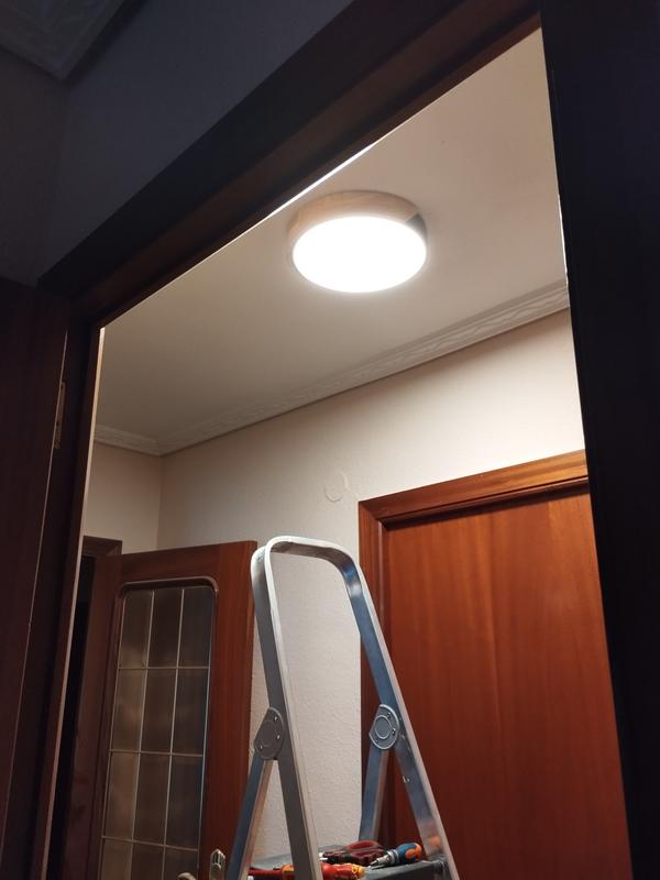 Abrir modal de revisión 1 de 1