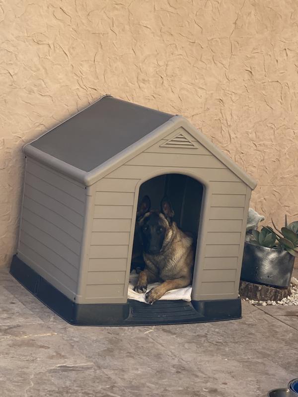 Abrir modal de revisión 1 de 1