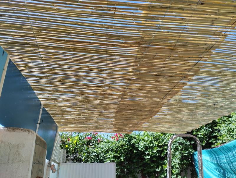 Abrir modal de revisión 1 de 1