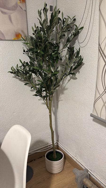 Abra o modal de avaliação 1 de 1