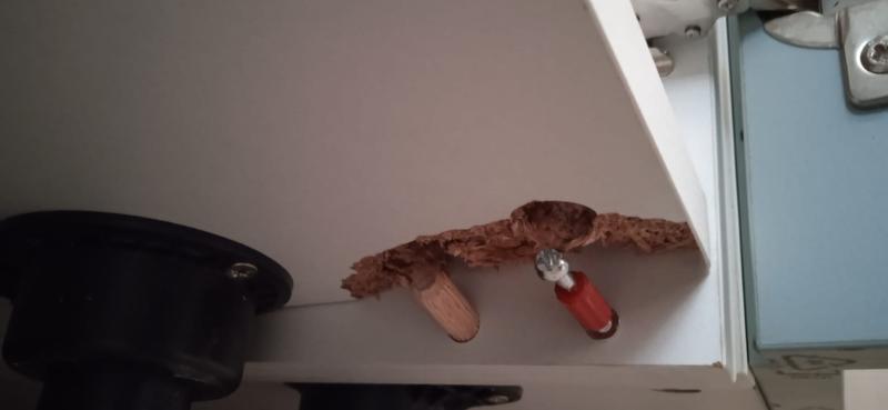 Abrir modal de revisión 2 de 3