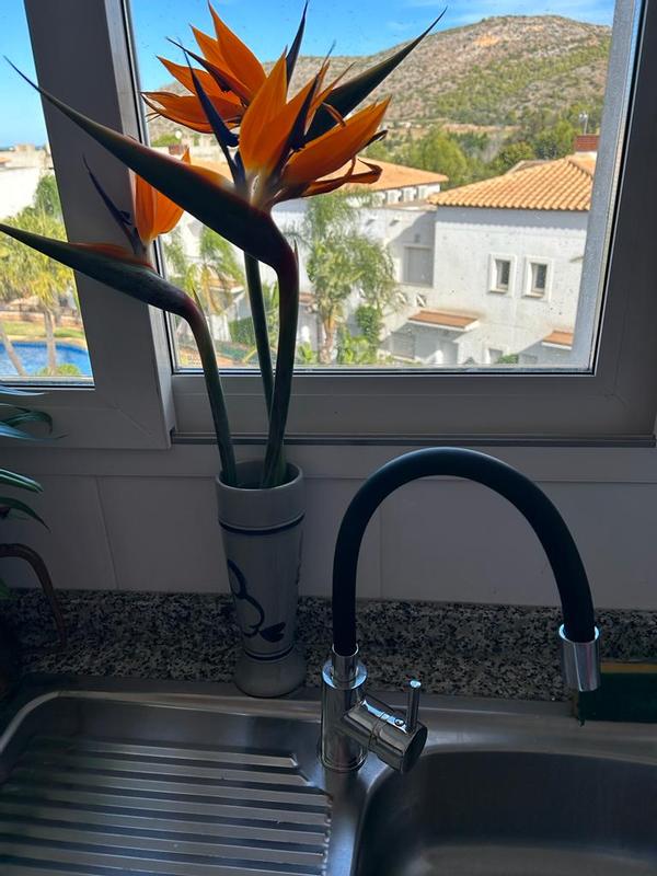 Abrir modal de revisión 1 de 1