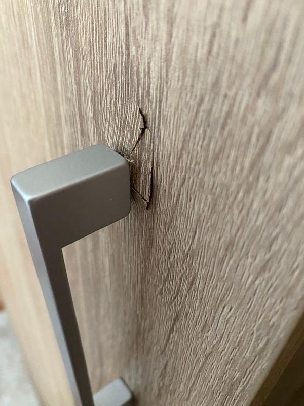 Abra o modal de avaliação 2 de 2