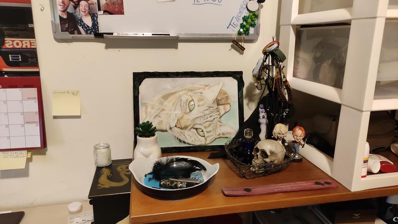 Abra o modal de avaliação 1 de 1