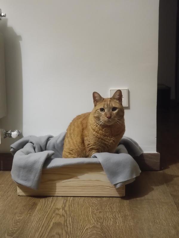 Revisione aperta modale 1 su 1