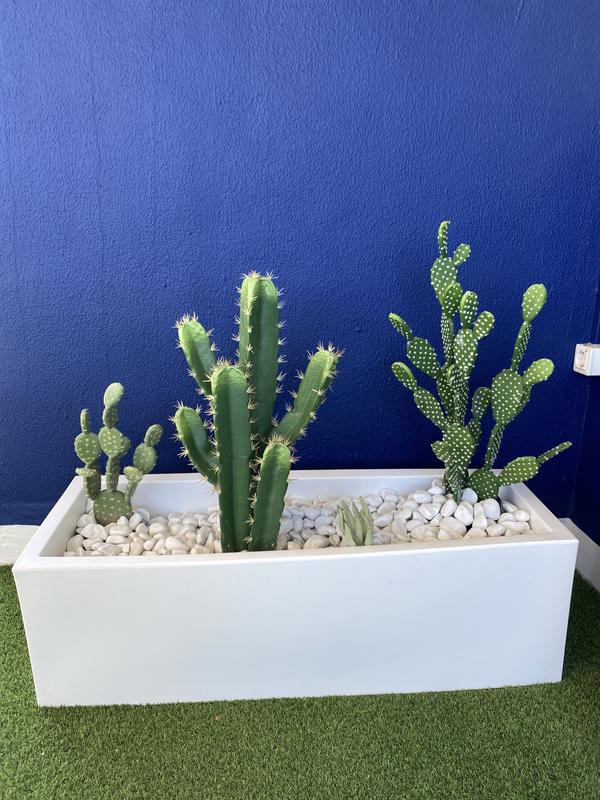 Abrir modal de revisión 1 de 1