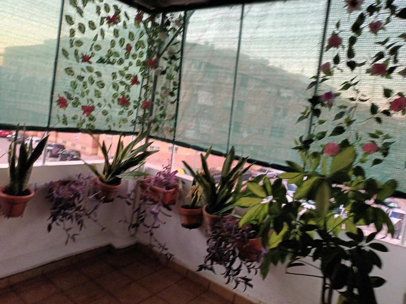 Abra o modal de avaliação 1 de 1