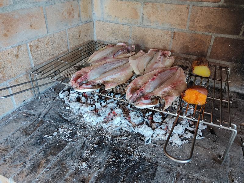 Acquista Tappetino per barbecue antiaderente in Ptfe Tappetino per barbecue  Piastra di cottura in Teflon riutilizzabile per tappetino per grigliate per  feste