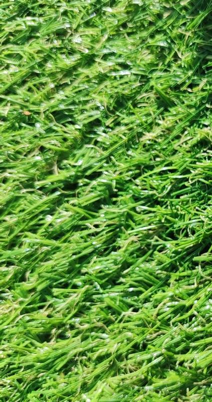 Abrir modal de revisión 1 de 2