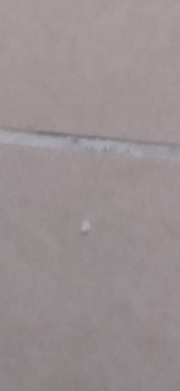 Abrir modal de revisión 3 de 6