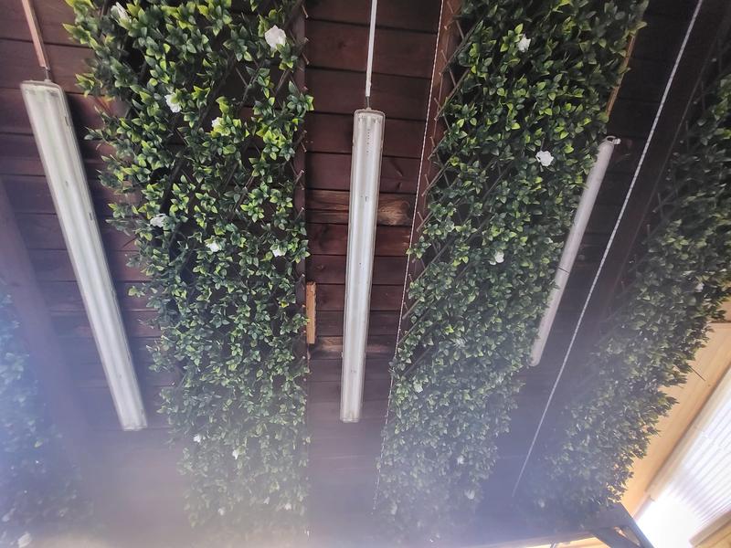 Abrir modal de revisión 1 de 2