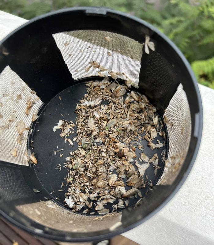 Abra o modal de avaliação 1 de 1