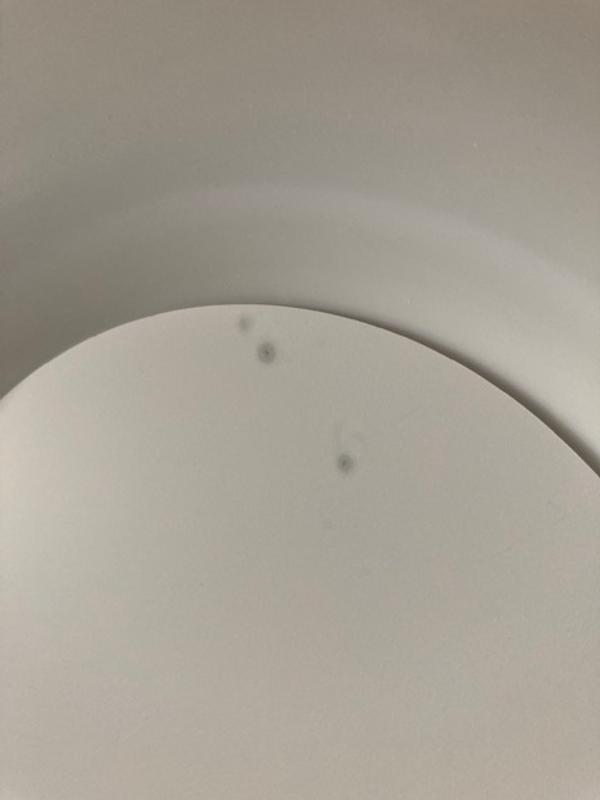 Revisione aperta modale 1 su 1