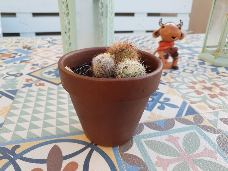 Abra o modal de avaliação 1 de 1