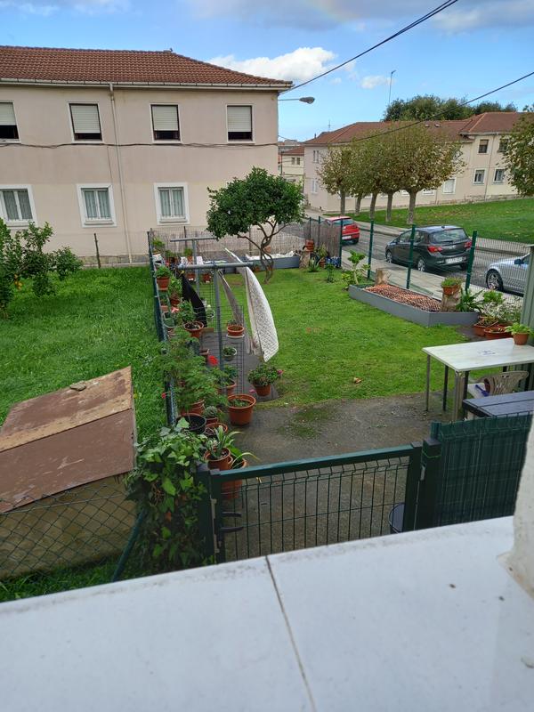 Abrir modal de revisión 1 de 1