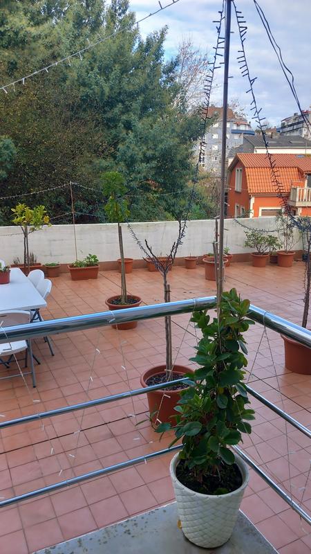 Abrir modal de revisión 2 de 2