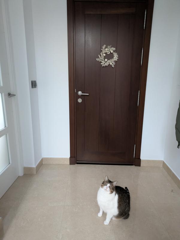 Abrir modal de revisión 1 de 2