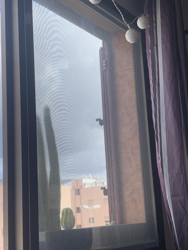 Abrir modal de revisión 1 de 1