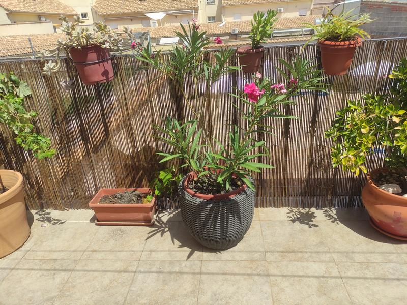 Abra o modal de avaliação 1 de 1