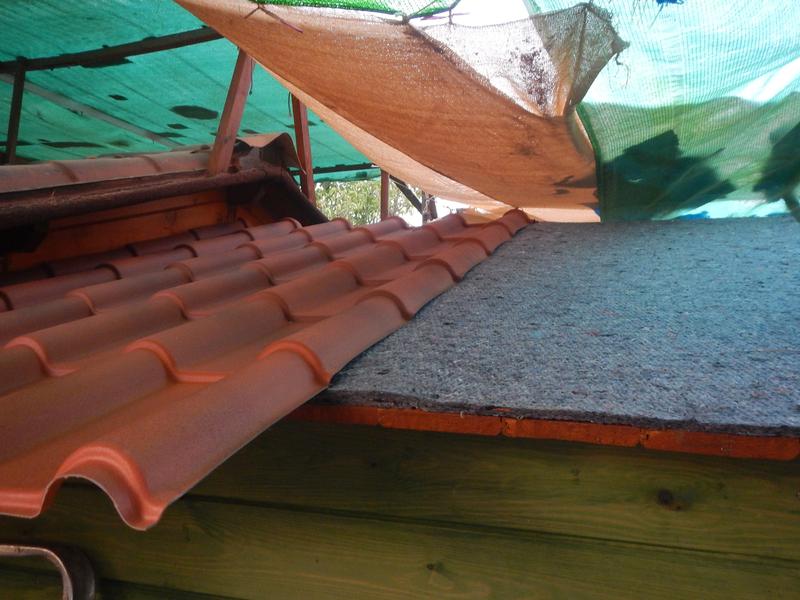 Abrir modal de revisión 1 de 1