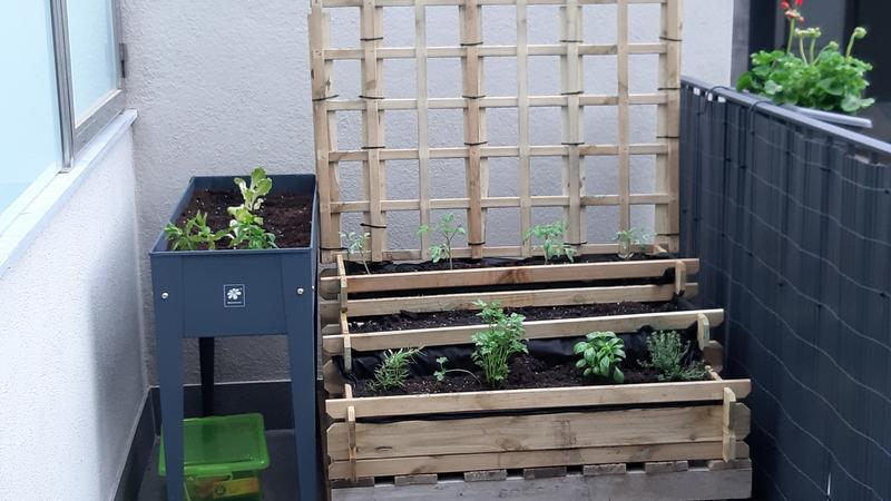 Abrir modal de revisión 1 de 1