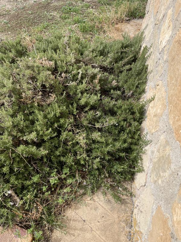 Abra o modal de avaliação 1 de 1