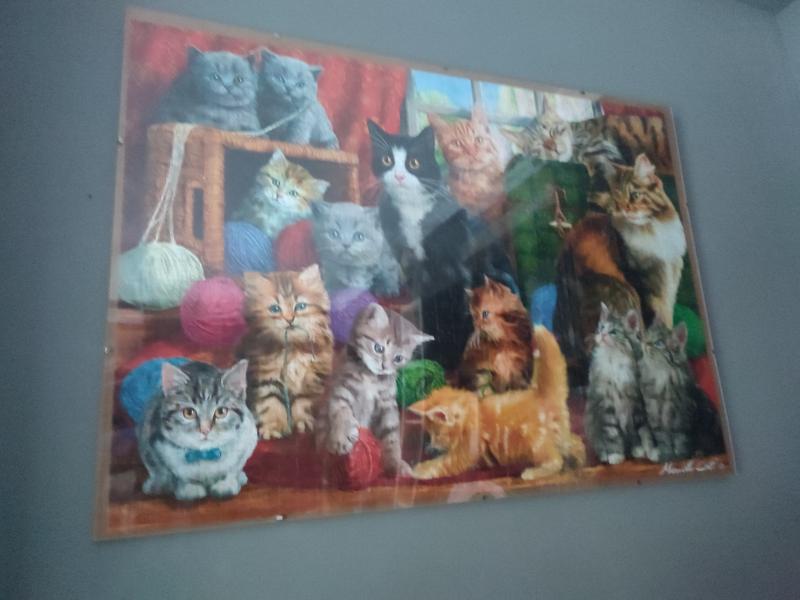 Abrir modal de revisión 1 de 1