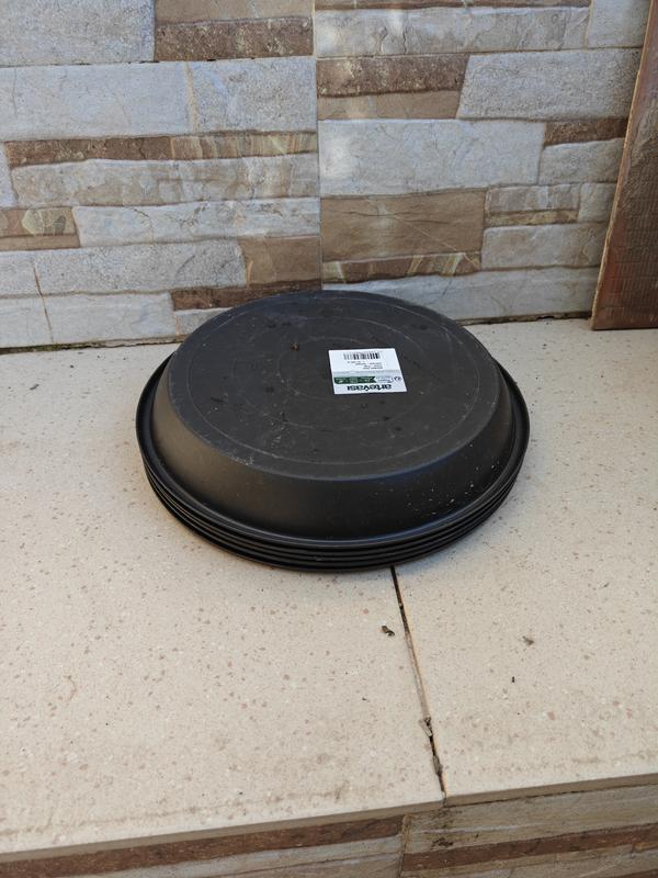 Abra o modal de avaliação 1 de 1