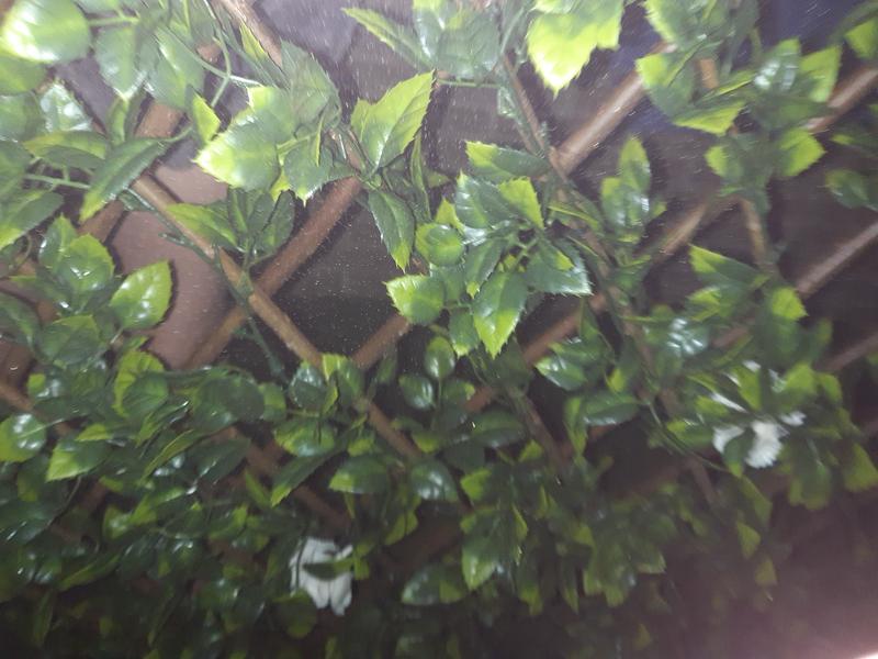 Abrir modal de revisión 1 de 1