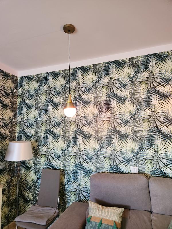 Ouvrir la fenêtre modale de l'avis 1 sur 1