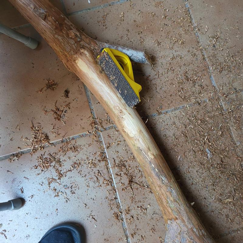 Revisione aperta modale 1 su 2