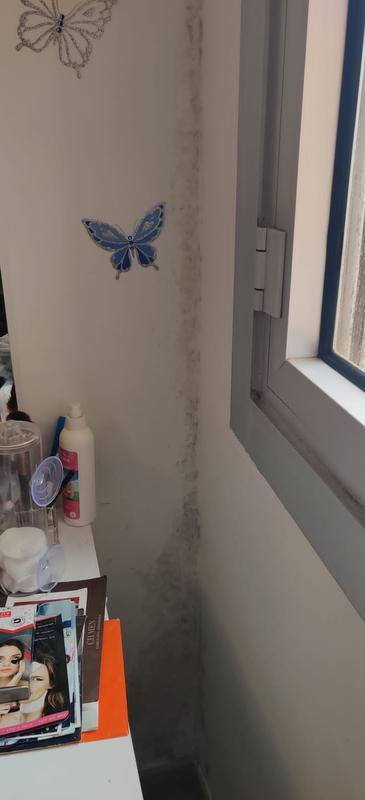 Abra o modal de avaliação 1 de 4