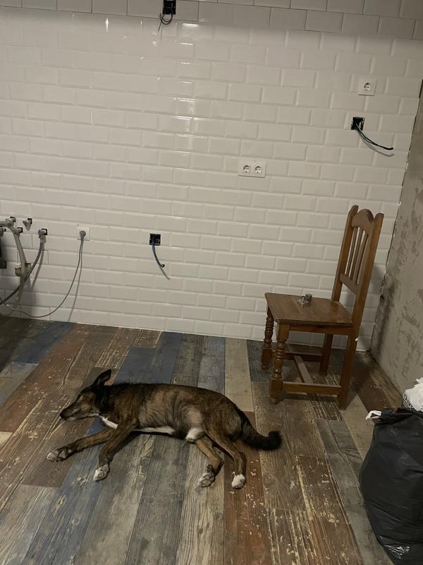 Abrir modal de revisión 1 de 1