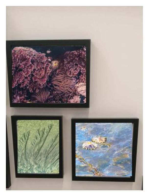 Abra o modal de avaliação 1 de 1