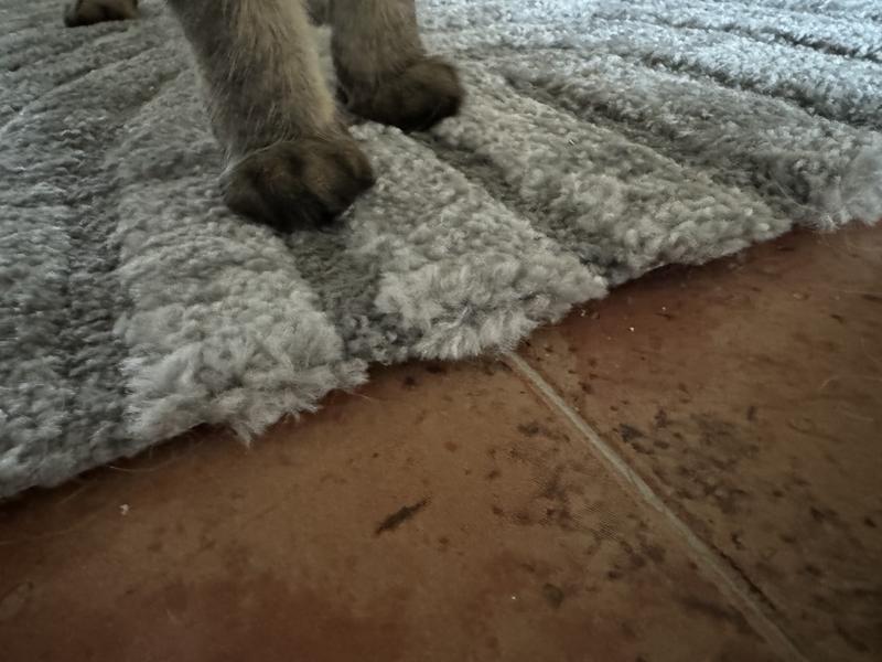 Abrir modal de revisión 1 de 2