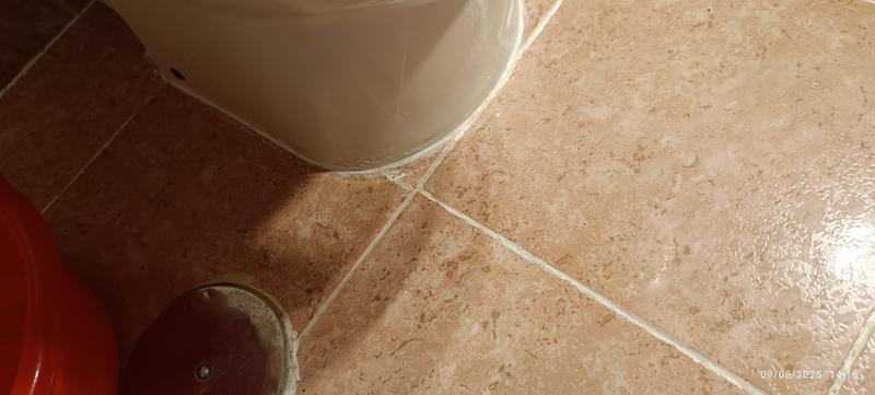 Abrir modal de revisión 1 de 2