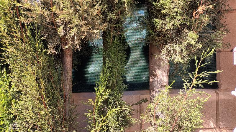 Abrir modal de revisión 1 de 1