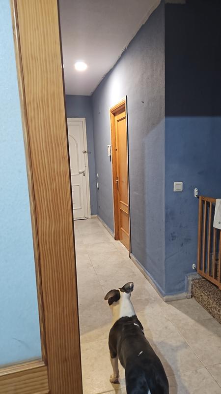 Abrir modal de revisión 1 de 1