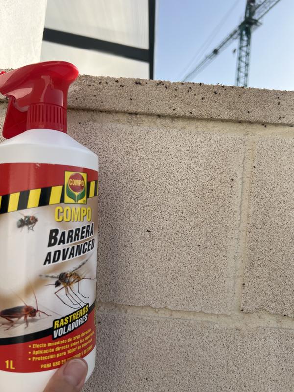 Abrir modal de revisión 2 de 2