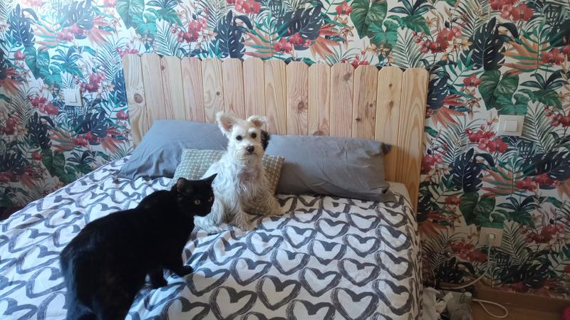 Abra o modal de avaliação 1 de 1